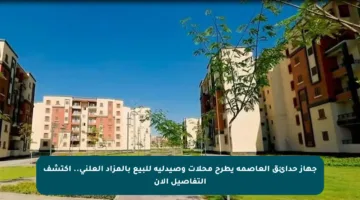 جهاز حدائق العاصمة يطرح محلات وصيدلية للبيع بالمزاد العلني.. اكتشف التفاصيل الآن